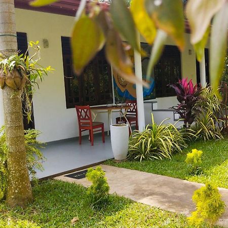 Bed and Breakfast Eco Nest Marakolliya Tangalle Exteriér fotografie