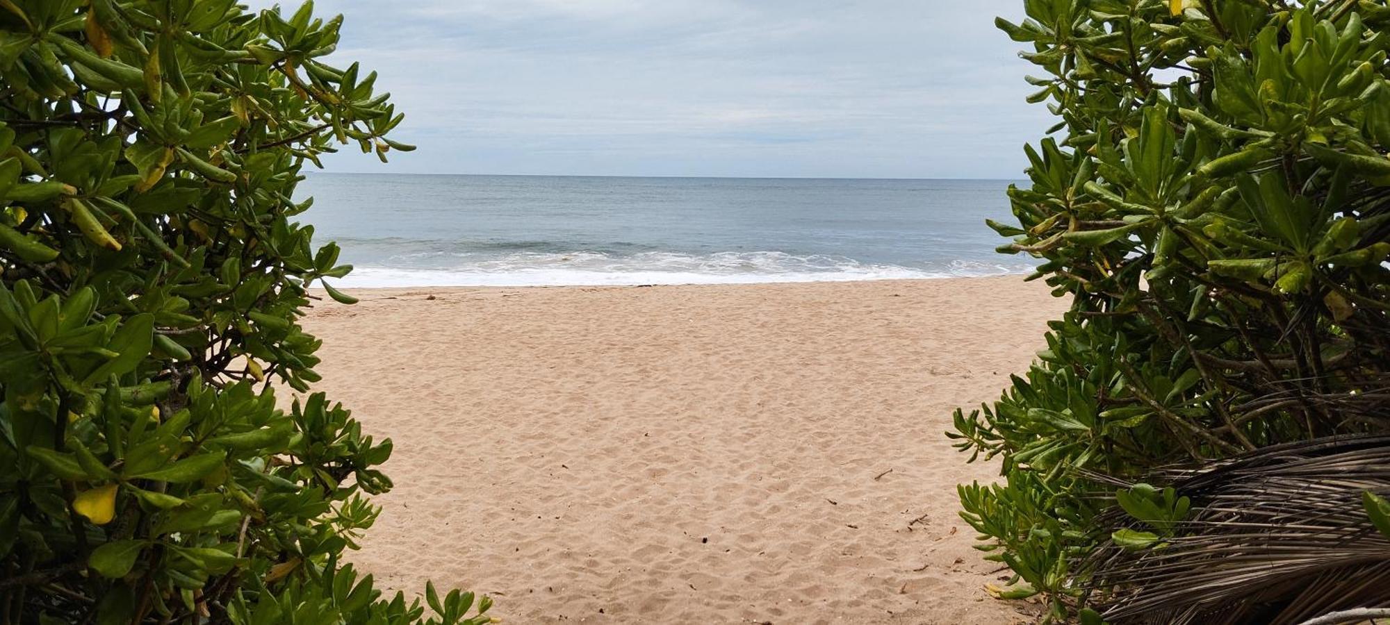 Bed and Breakfast Eco Nest Marakolliya Tangalle Exteriér fotografie