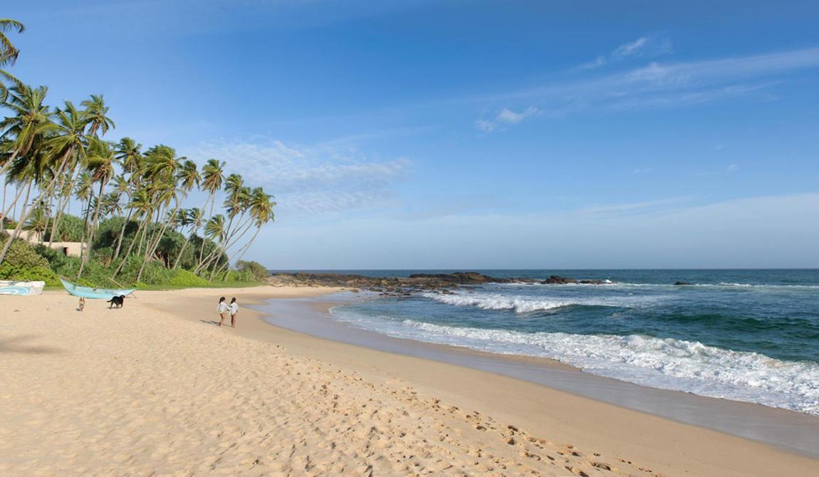 Bed and Breakfast Eco Nest Marakolliya Tangalle Exteriér fotografie