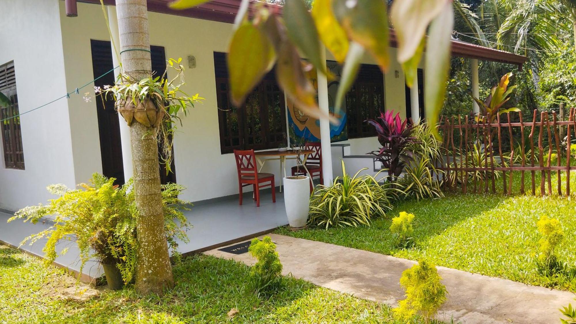 Bed and Breakfast Eco Nest Marakolliya Tangalle Exteriér fotografie